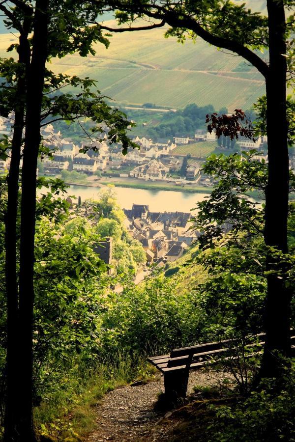 Апартаменти Mosel Panorama Целль-ан-дер-Мозель Екстер'єр фото