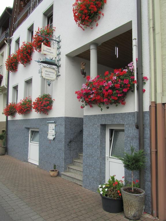 Апартаменти Mosel Panorama Целль-ан-дер-Мозель Екстер'єр фото