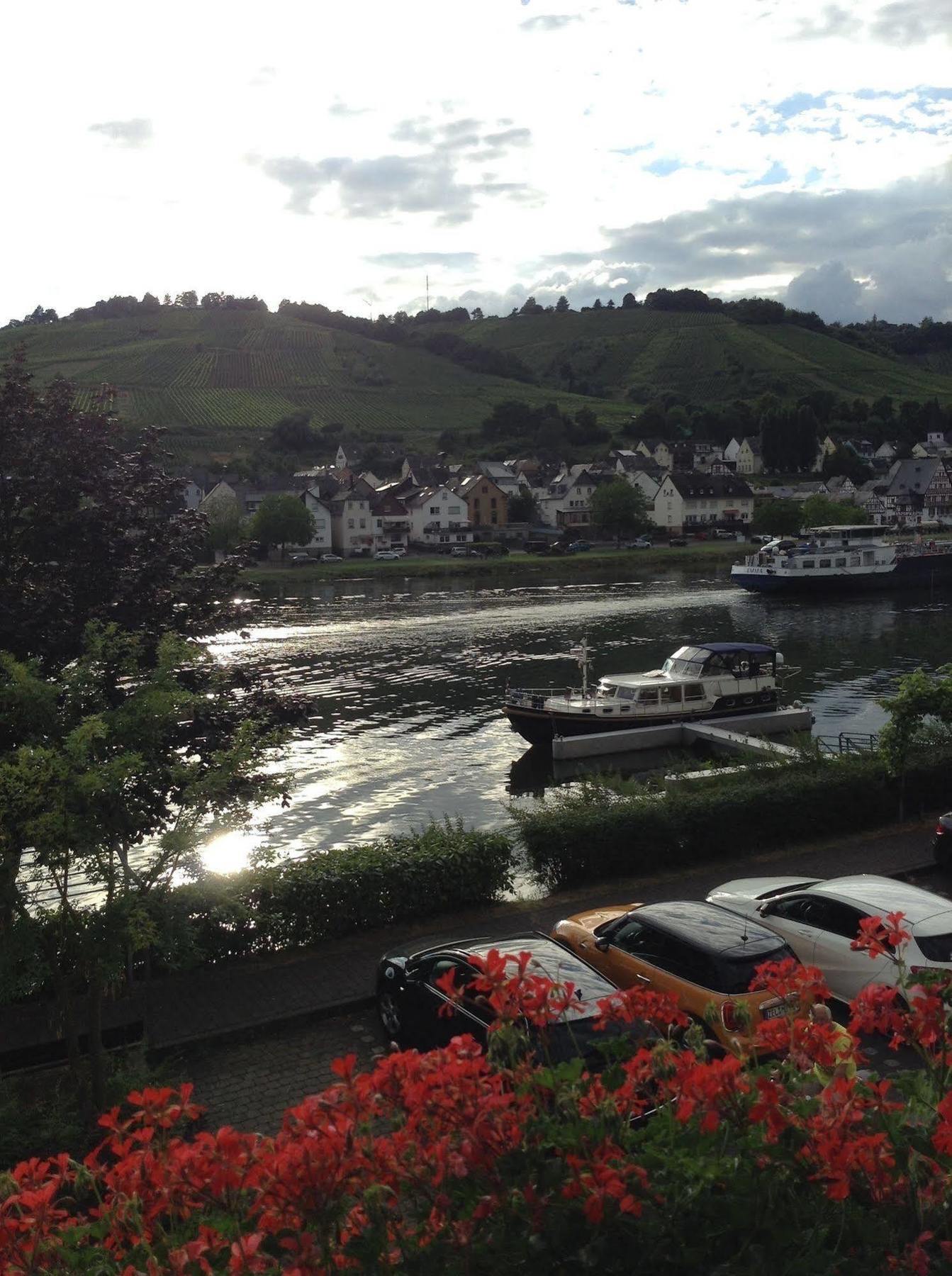 Апартаменти Mosel Panorama Целль-ан-дер-Мозель Екстер'єр фото